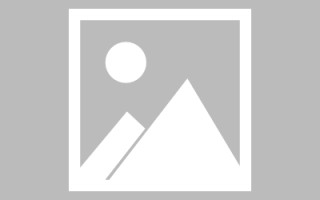 伊春最佳网站建设（网站建设哪个平台最好）